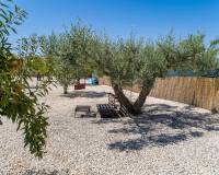 Resale - Detached villa - Pinoso - El Manyar