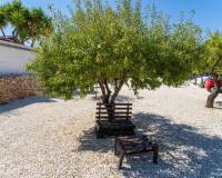 Resale - Detached villa - Pinoso - El Manyar