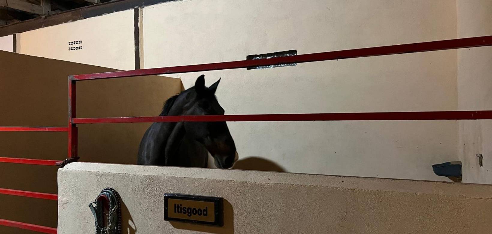 Resale - Detached villa - Torre del Rico