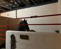 Resale - Detached villa - Torre del Rico