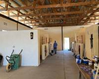 Resale - Detached villa - Torre del Rico