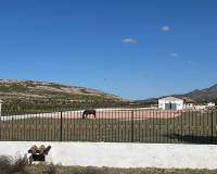 Resale - Detached villa - Torre del Rico