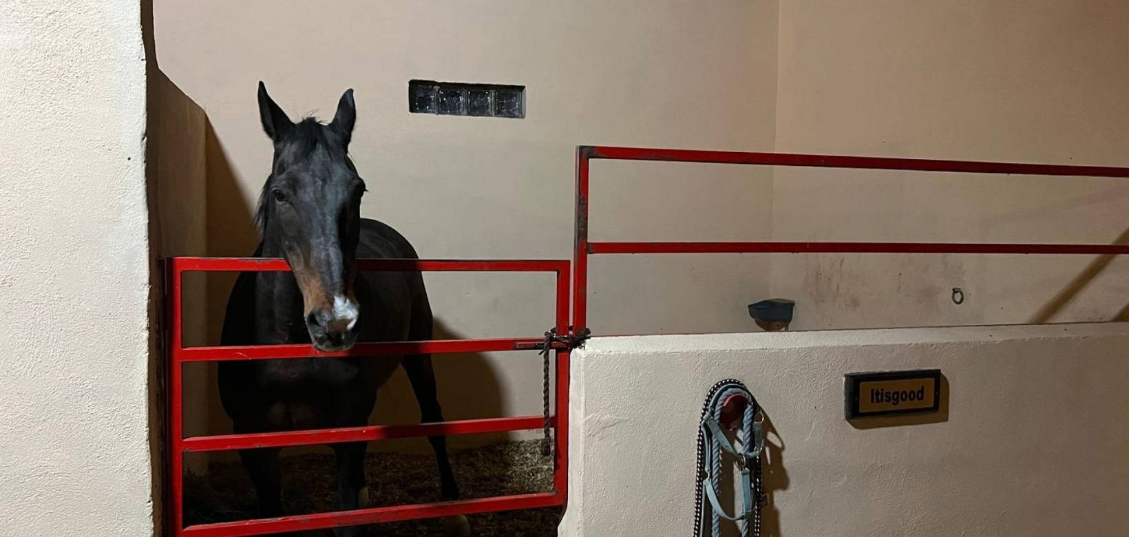 Resale - Detached villa - Torre del Rico