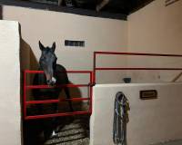 Resale - Detached villa - Torre del Rico