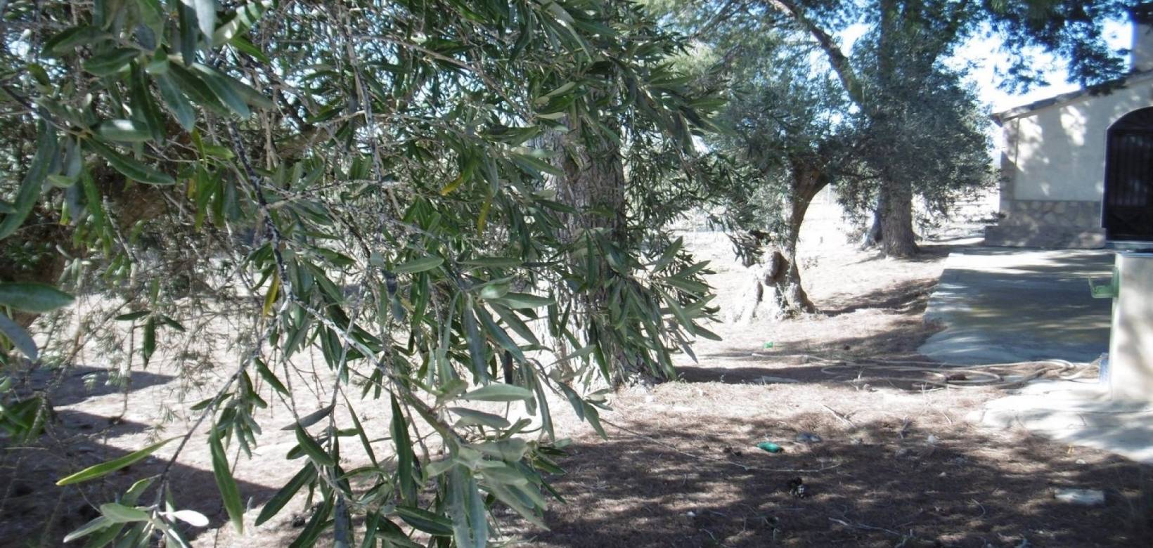 Resale - Detached villa - Yecla