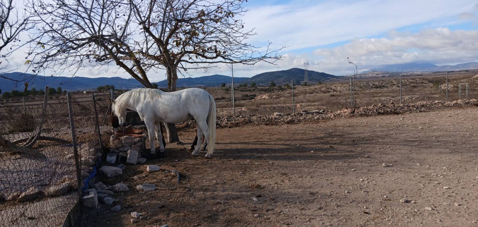 Resale - Equestrian property - Monovar