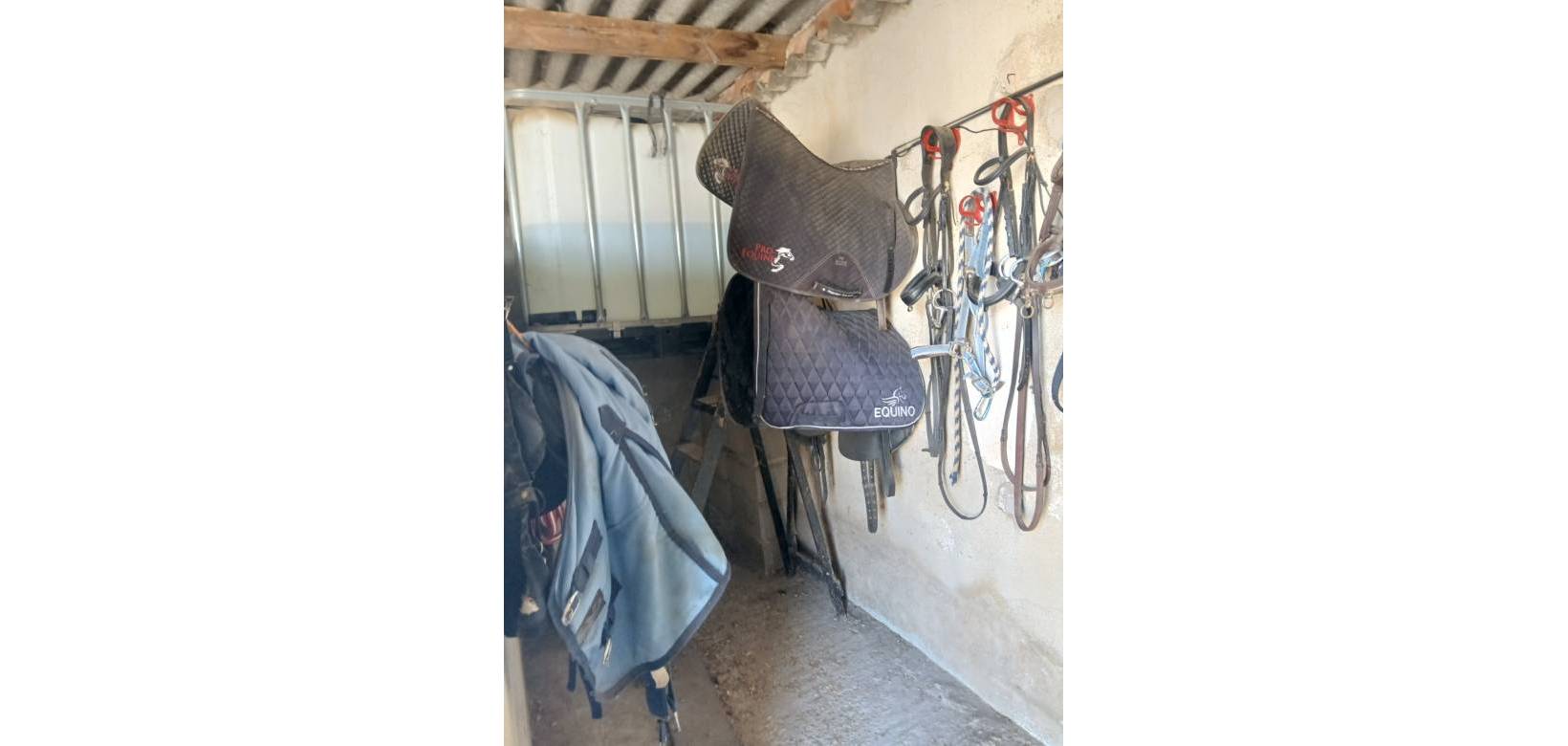 Resale - Equestrian property - Monovar