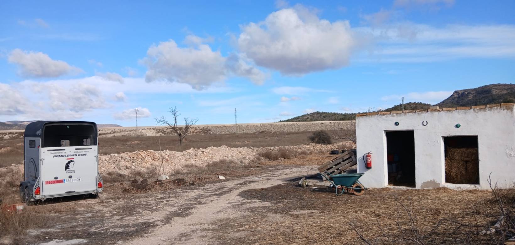 Resale - Equestrian property - Monovar