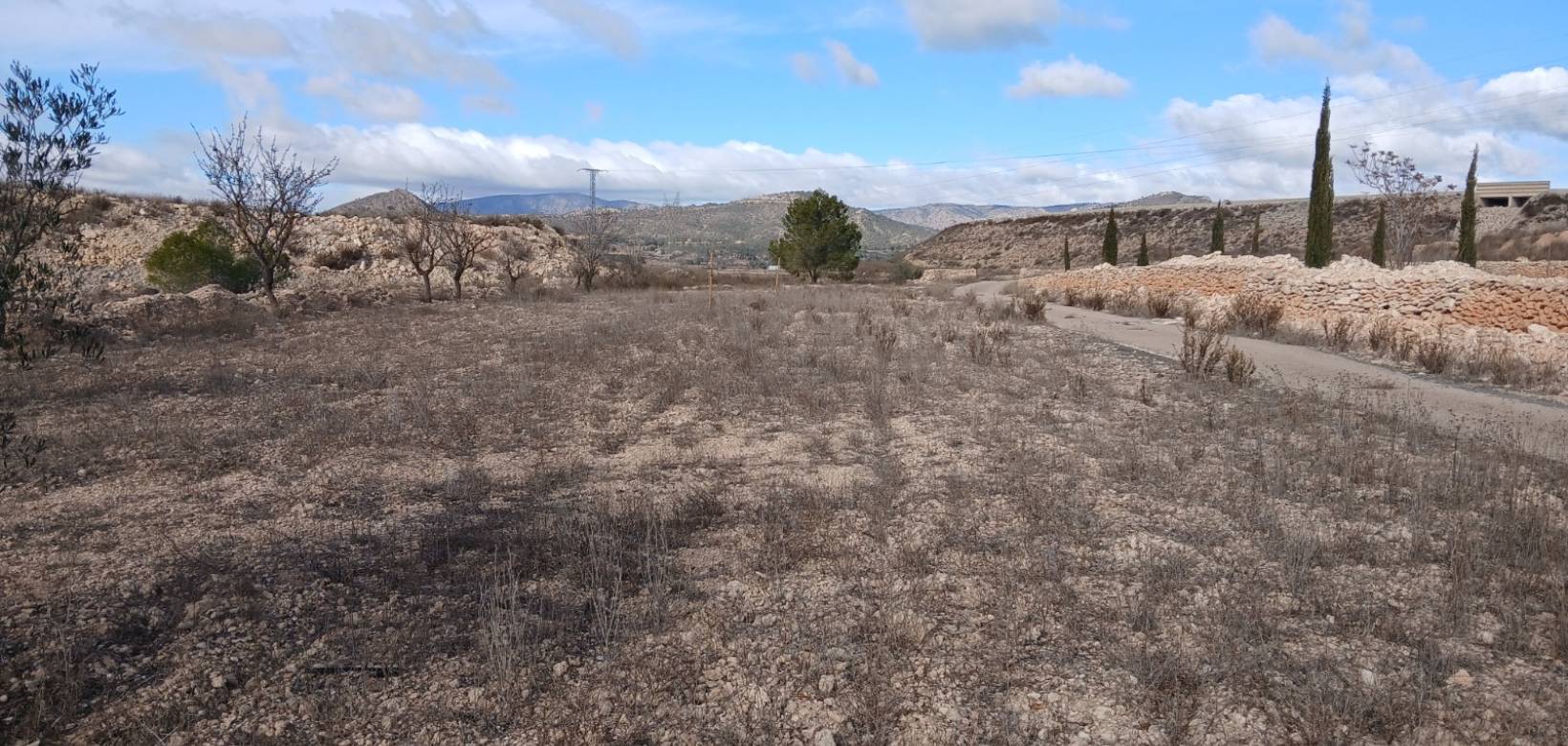 Resale - Equestrian property - Monovar