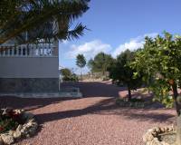 Resale - Finca / Country Property - Almoradí