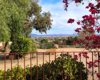 Resale - Finca - Country Property - Fortuna