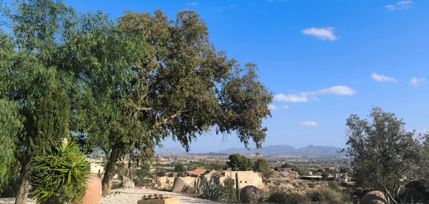 Resale - Finca - Country Property - Fortuna