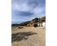 Resale - Finca - Country Property - Fortuna