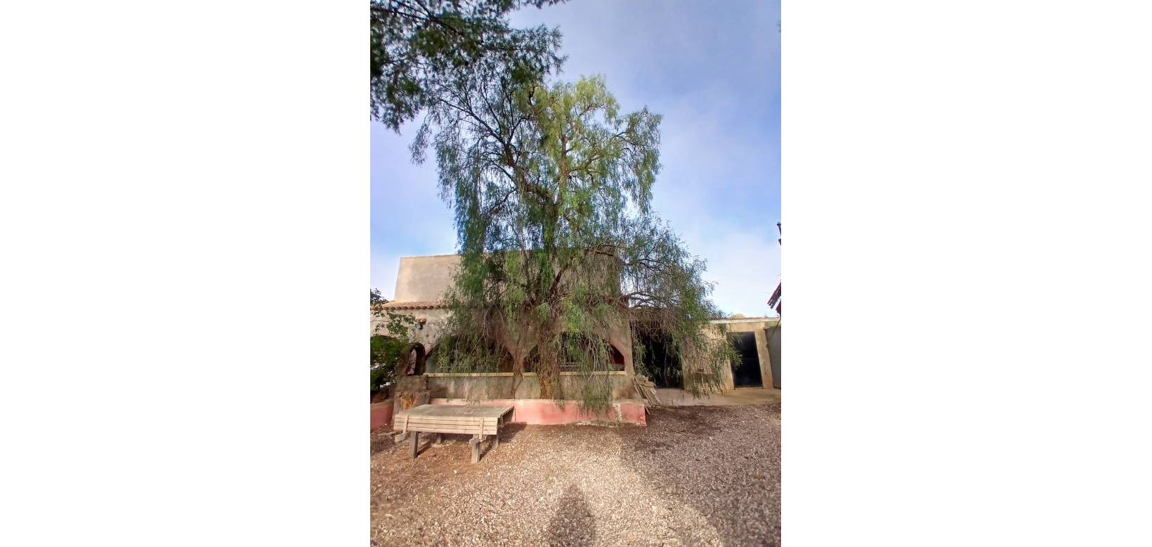 Resale - Finca / Country Property - Jumilla