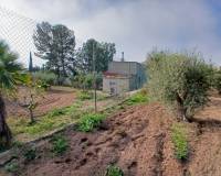 Resale - Finca / Country Property - Jumilla