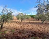 Resale - Finca / Country Property - Jumilla