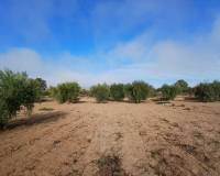 Resale - Finca / Country Property - Jumilla