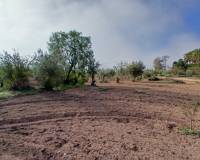 Resale - Finca / Country Property - Jumilla