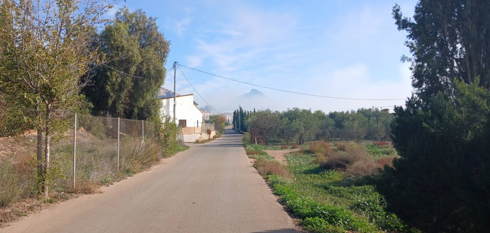 Resale - Finca / Country Property - Jumilla