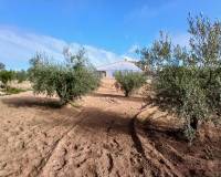 Resale - Finca / Country Property - Jumilla