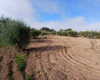 Resale - Finca / Country Property - Jumilla