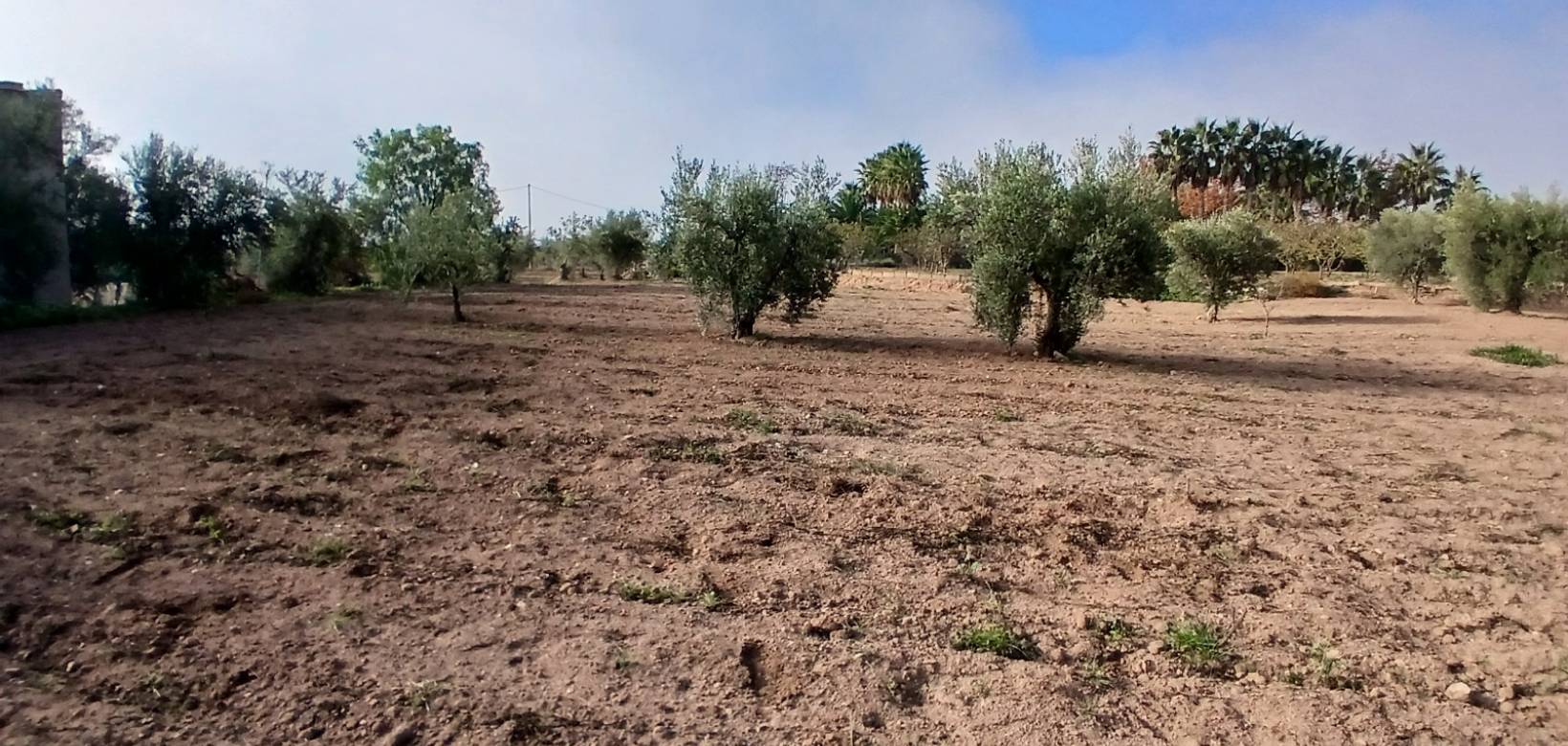 Resale - Finca / Country Property - Jumilla