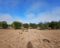 Resale - Finca / Country Property - Jumilla