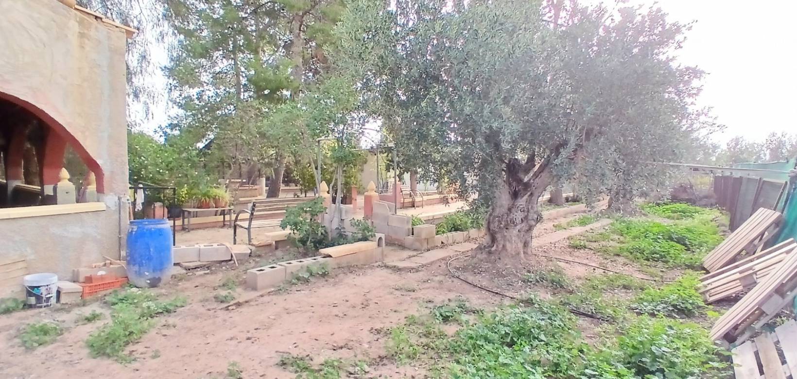 Resale - Finca / Country Property - Jumilla