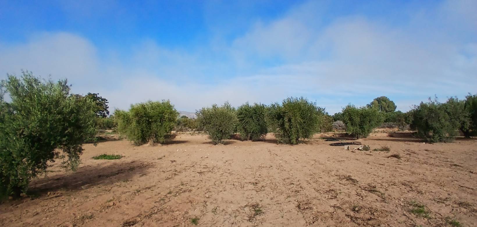 Resale - Finca / Country Property - Jumilla