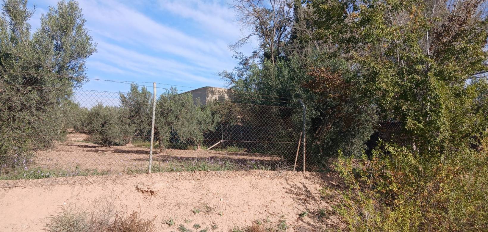 Resale - Finca / Country Property - Jumilla