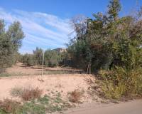 Resale - Finca / Country Property - Jumilla