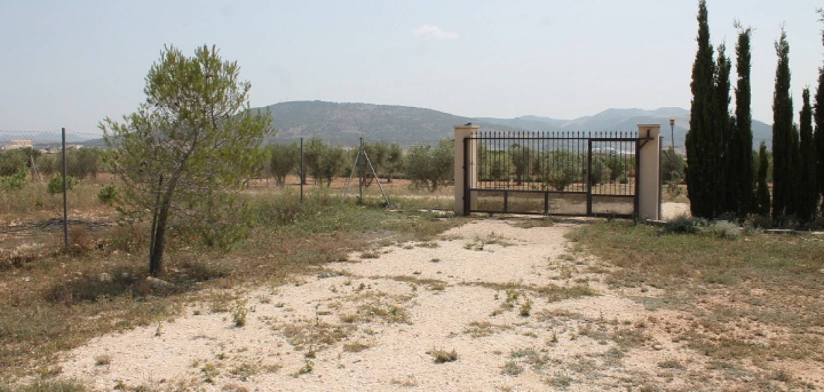 Resale - Finca - Pinoso