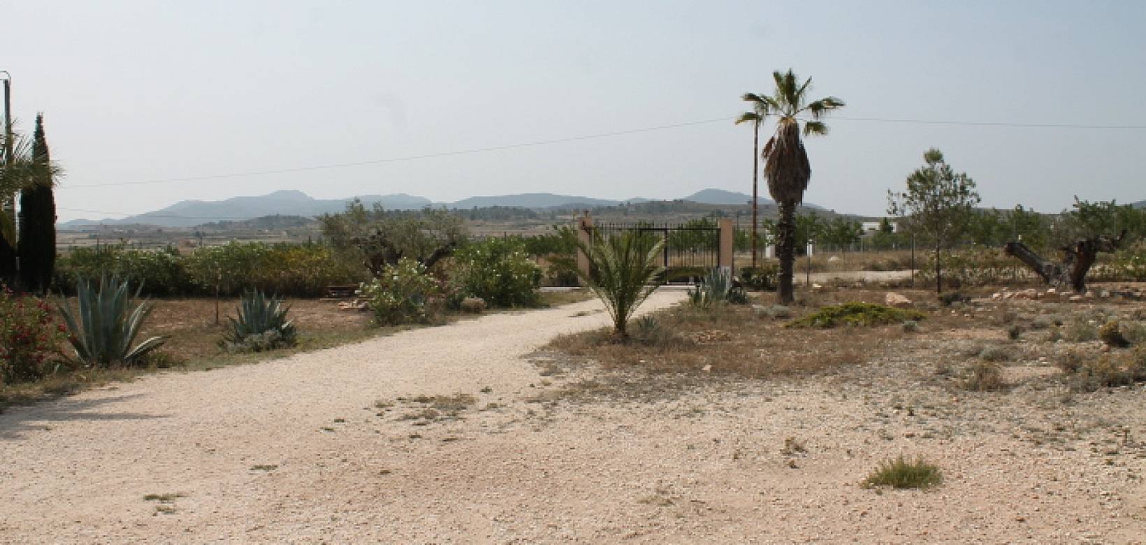 Resale - Finca - Pinoso