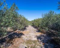 Resale - Finca - Santomera