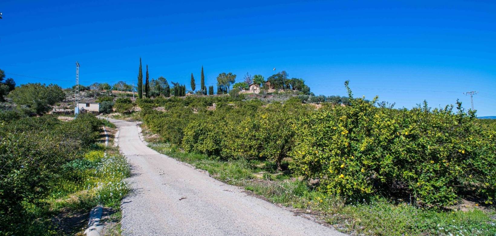 Resale - Finca - Santomera