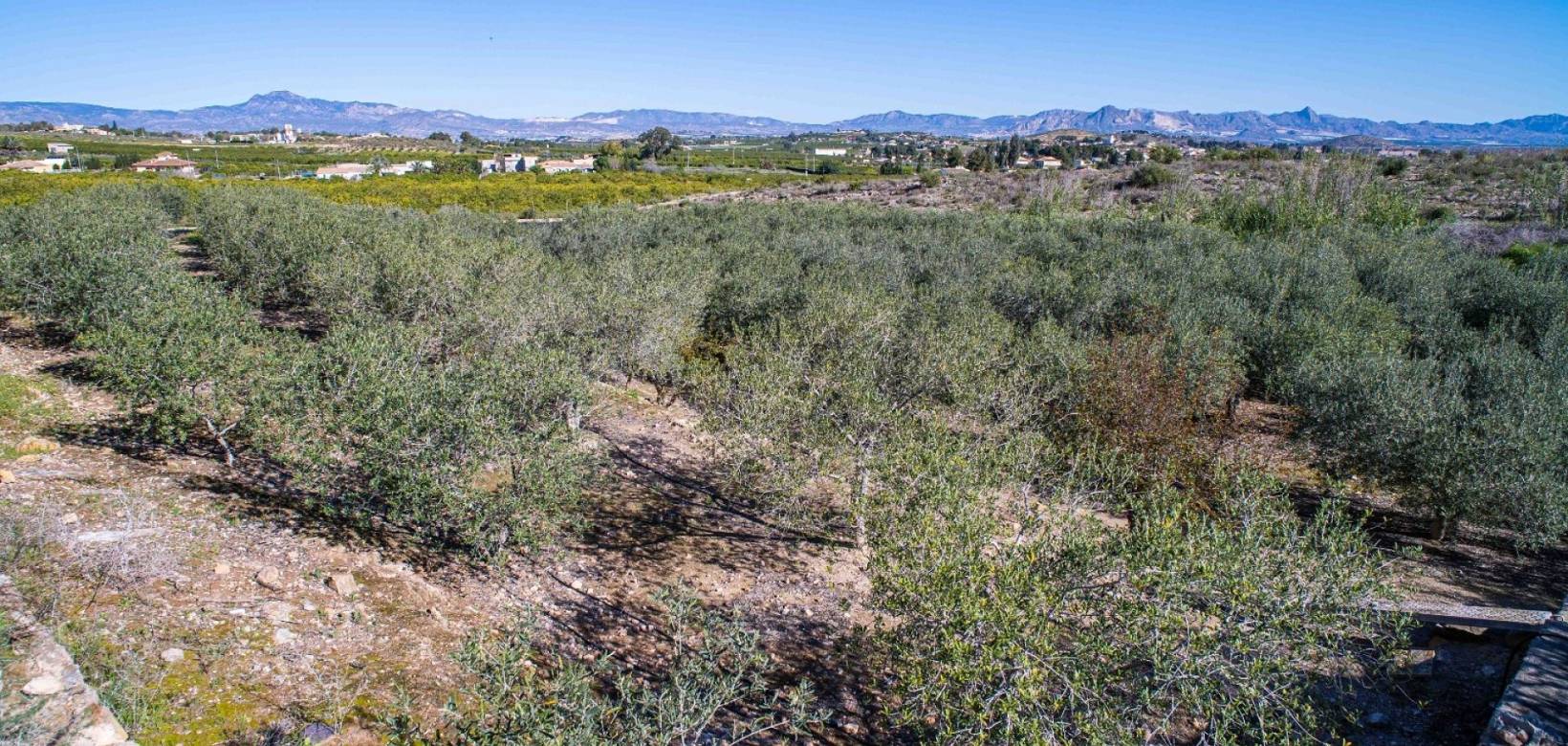 Resale - Finca - Santomera