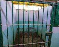 Resale - Finca - Santomera