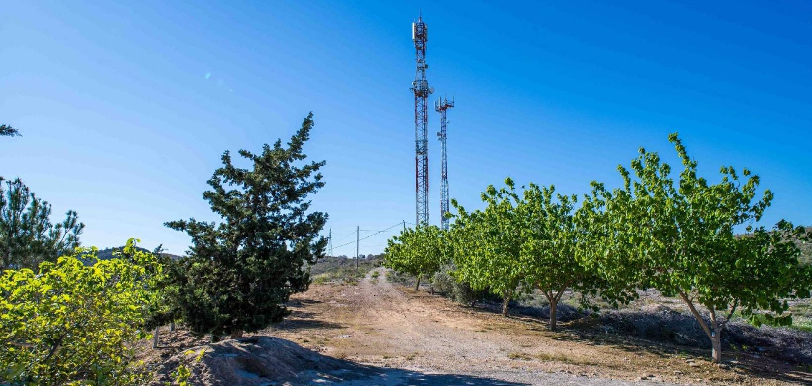 Resale - Finca - Santomera