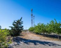 Resale - Finca - Santomera