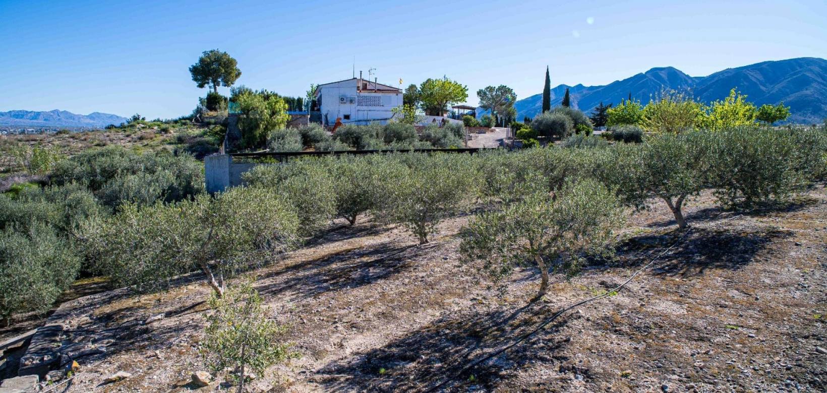 Resale - Finca - Santomera