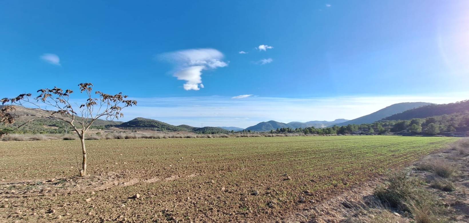 Resale - Grond - Monovar