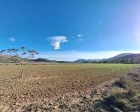 Resale - Grond - Monovar