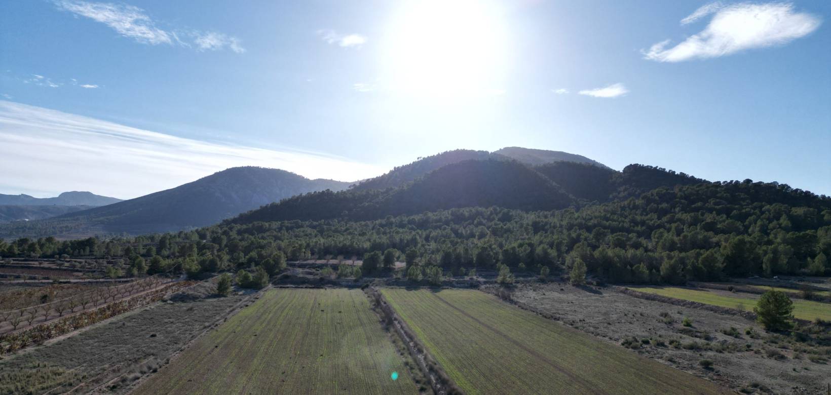 Resale - Grond - Monovar