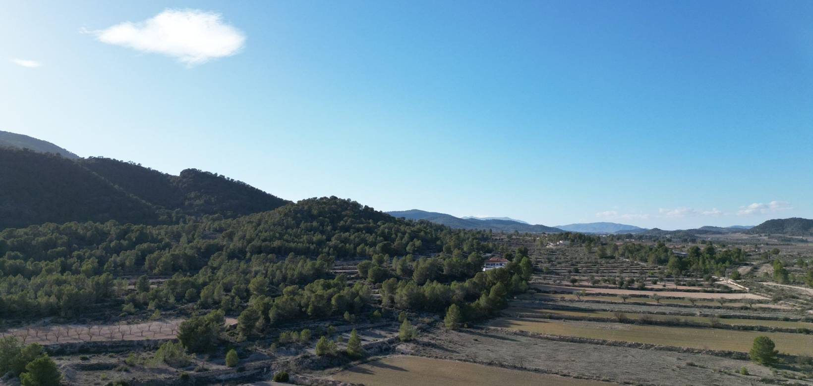 Resale - Grond - Monovar