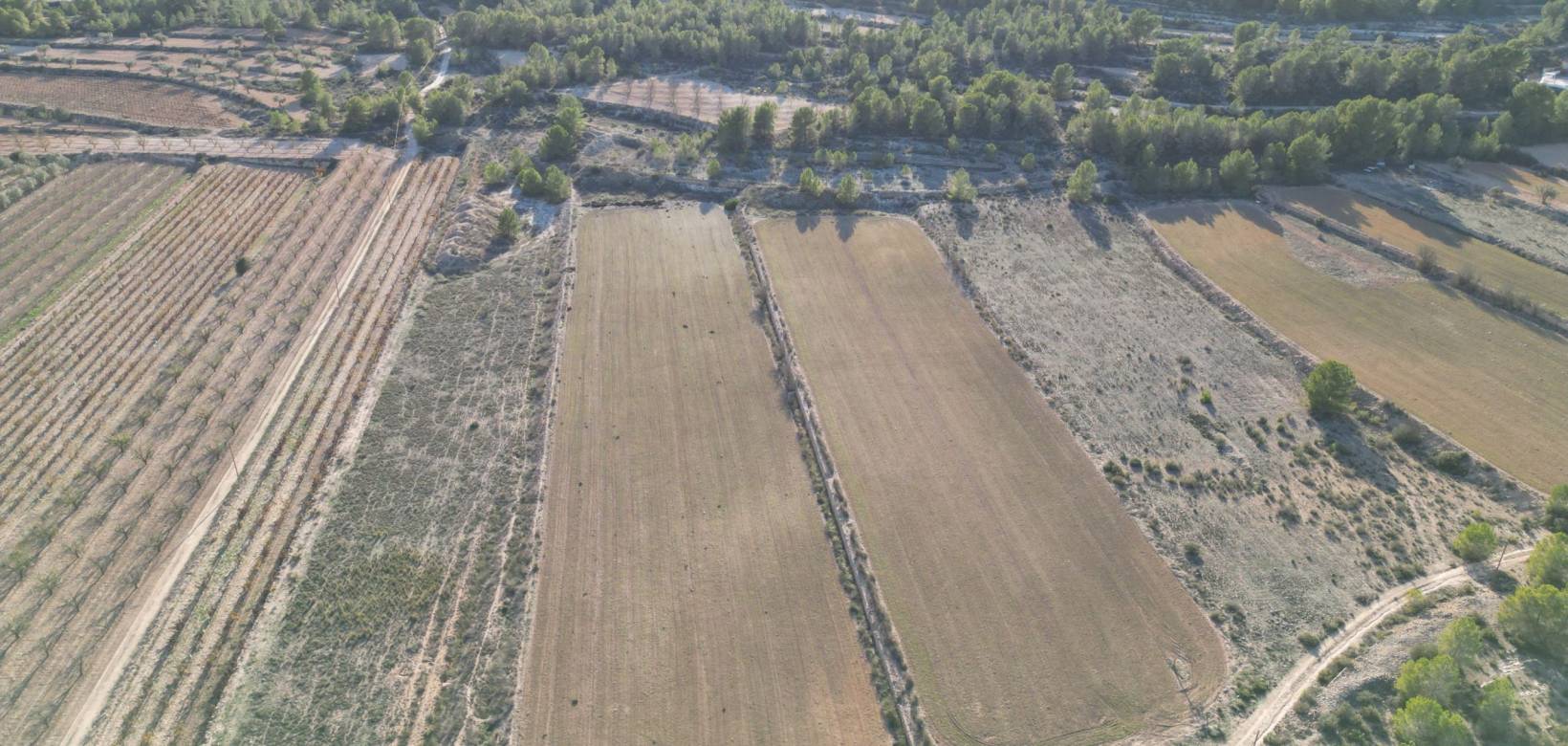 Resale - Grond - Monovar