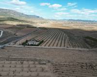 Resale - Grond - Pinoso - Lel