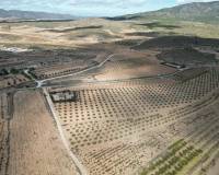 Resale - Grond - Pinoso - Lel