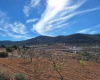 Resale - Grond - Pinoso