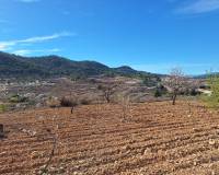 Resale - Grond - Pinoso