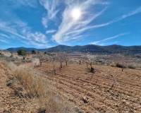 Resale - Grond - Pinoso